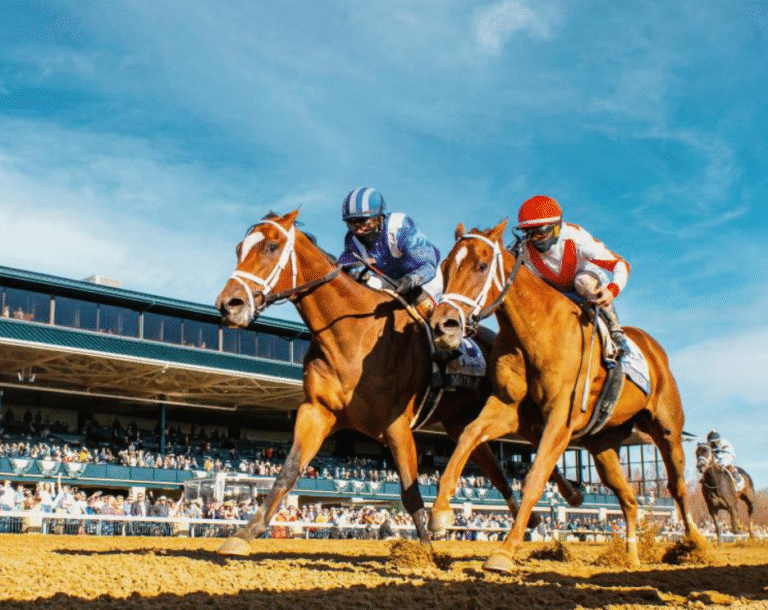 Horse Racing and Sustainability: Efforts to Make the Sport Greener