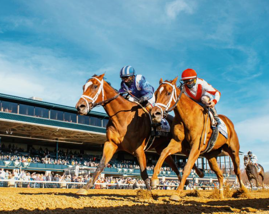 Horse Racing and Sustainability: Efforts to Make the Sport Greener