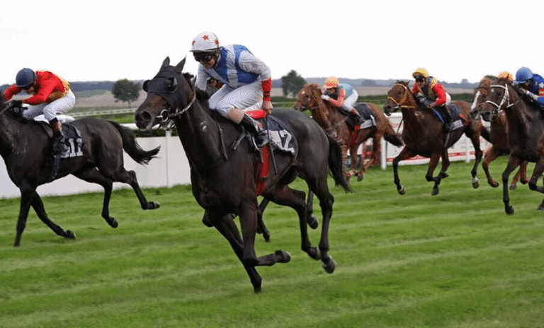 Horse Racing and Technology: How AI and Data Are Changing the Sport