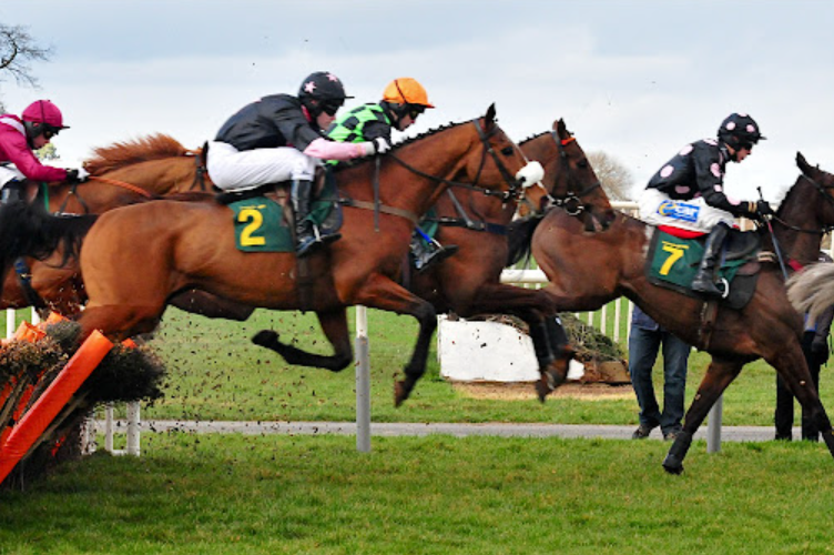 Horse Racing and the Economy: How the Sport Contributes to Local Economies